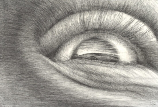 eye_on_the_sky_15x22